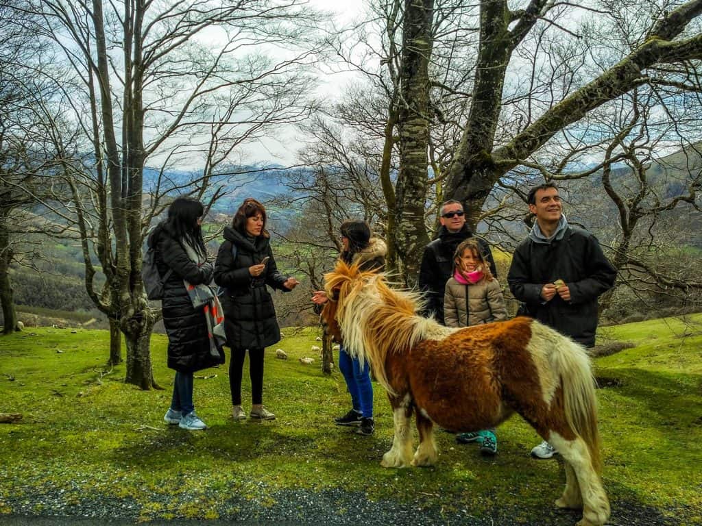 Tours turísticos por Baztan, Bidasoa y país Vasco francés