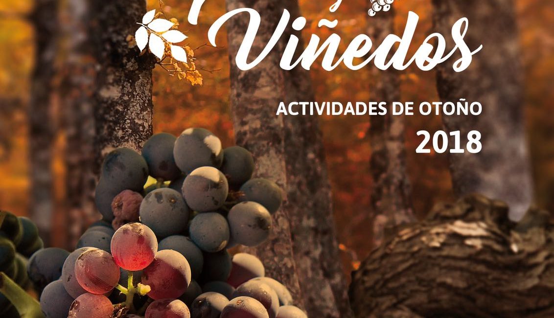Campaña bosques y viñedos, Otoño en Navarra. Otoño a caballo con Ordoki Zalditegia