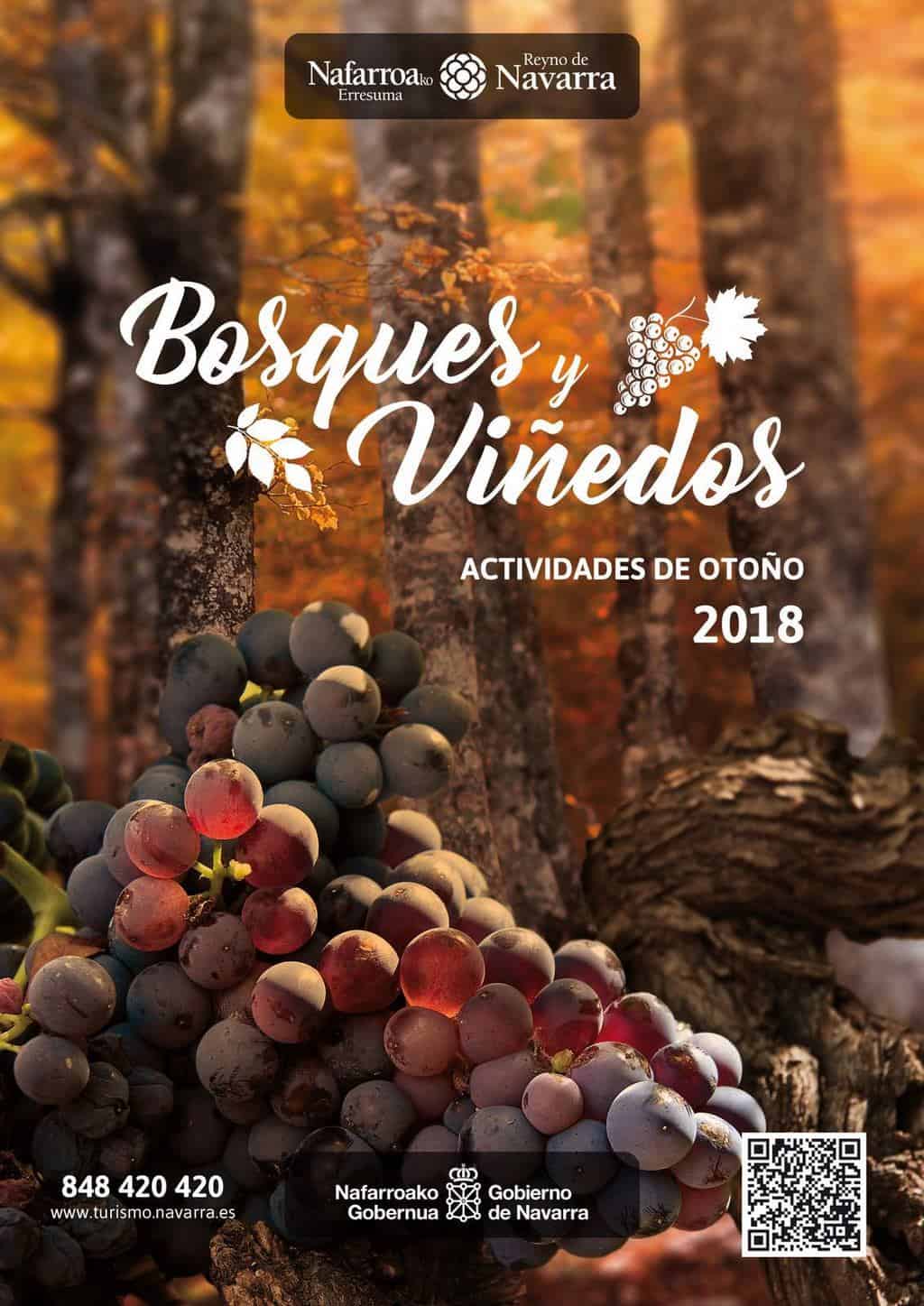 Campaña bosques y viñedos, Otoño en Navarra. Otoño a caballo con Ordoki Zalditegia