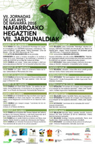 hegaztienjardunaldiak2016