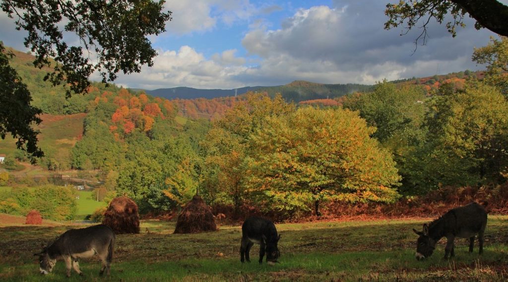 Colores de otoño en Baztan-Bidasoa