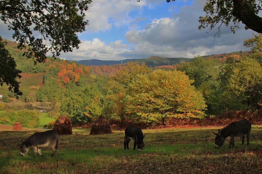 Colores de otoño en Baztan-Bidasoa