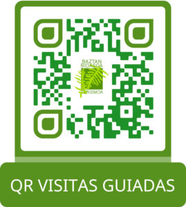Visita guiadas QR