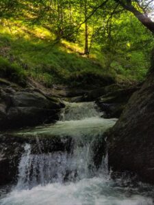 Basakaitz (Ezkurra)