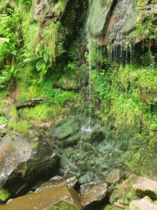 cascada de Oñaska