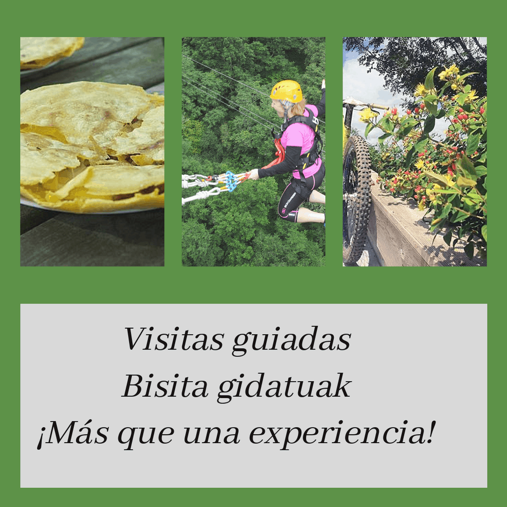 Visitas guiadas de Baztan y Bidasoa, Valle de Baztan, queserías, mayo, en familia, aventura, Irrisarri Land, gastronomía, pueblos, cuevas, molinos